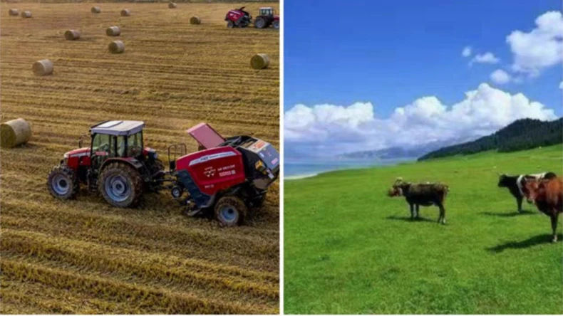 Ứng dụng màng bọc trong hoạt động nông nghiệp