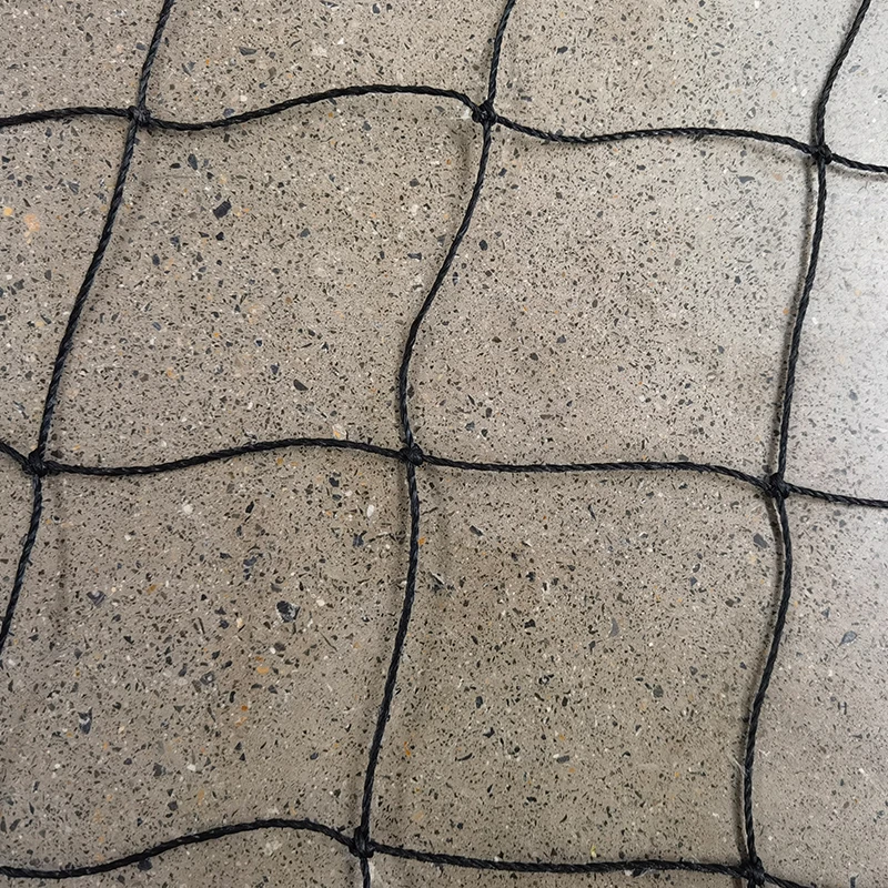 Vai trò của lưới cricket