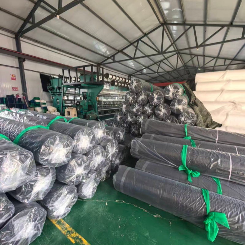 Nhựa đôi: Cảnh vận chuyển hàng hóa bận rộn cho thấy sức mạnh mạnh mẽ