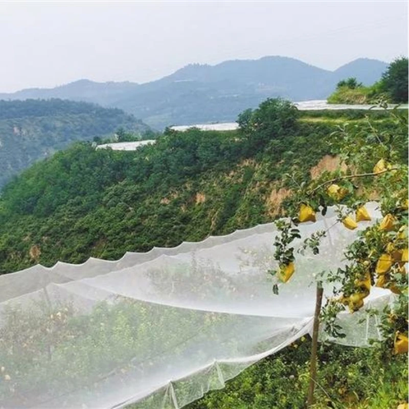 Lưới chống mưa đá cho cây táo