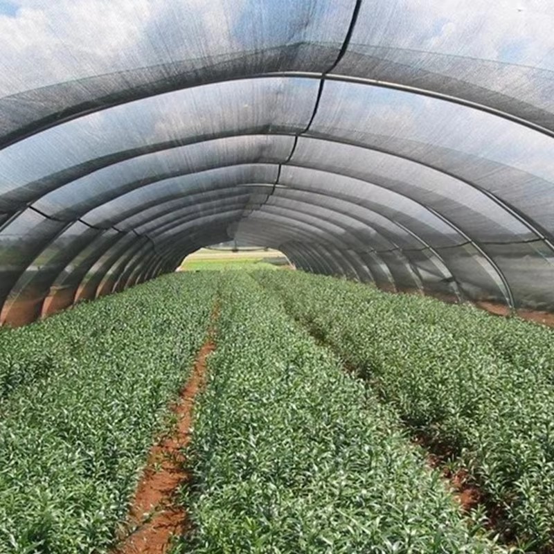 Vải che sân vườn cho cây che nắng 40%